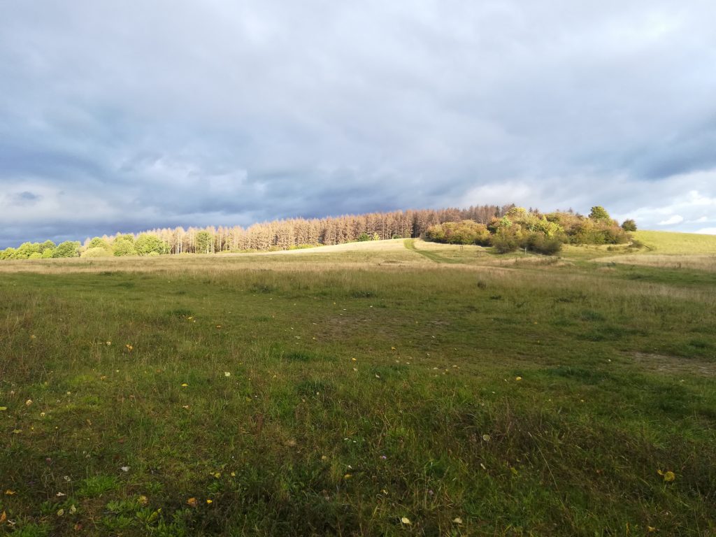 Biesterberg