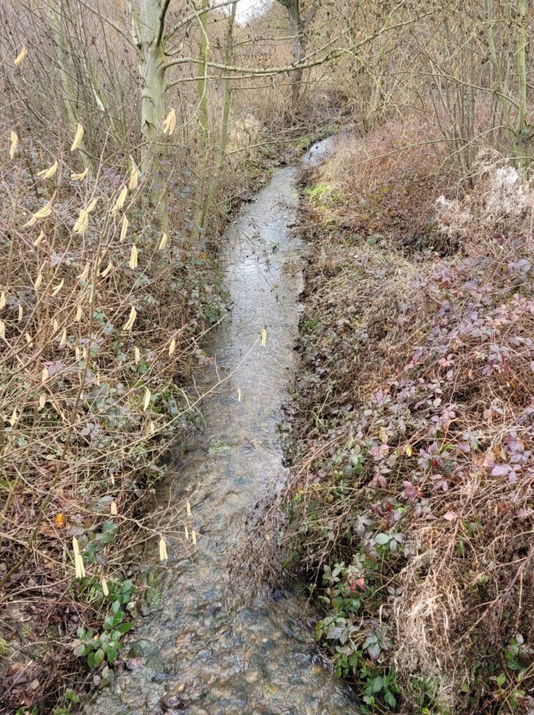 Hochwasserrisiko nicht auszuschließen